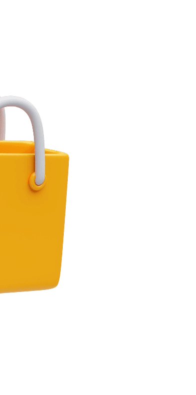 Shopping Bag Icon 